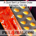 À Quoi Sert La Gelée Orale Kamagra 100 Mg new01